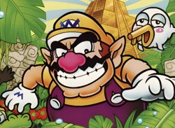 Grandchild Discovers 26 Copies Of Wario Game In Late Grandmother's Collection